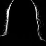 silhouette 376538 1920